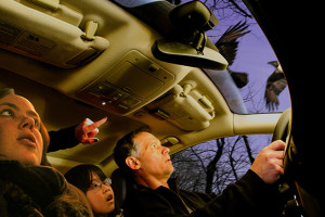 Ballarat Foto Biennale Opens August 17